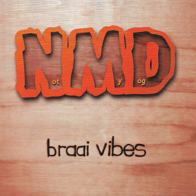 Braai Vibes album cover