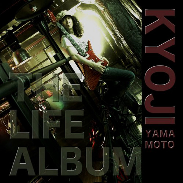THE LIFE ALBUM album cover