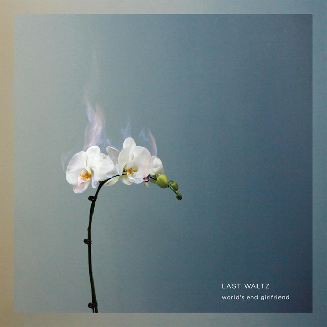 LAST WALTZ album cover