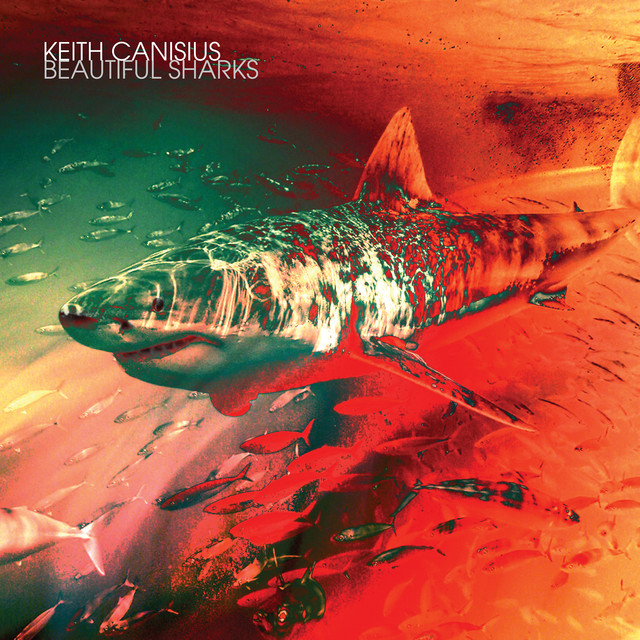 Beautiful Sharks (Alternate Version) album cover