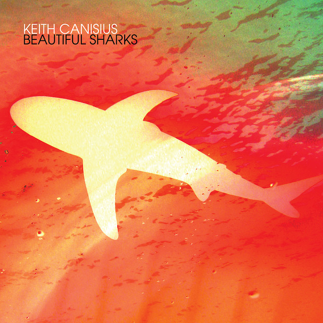 Beautiful Sharks album cover