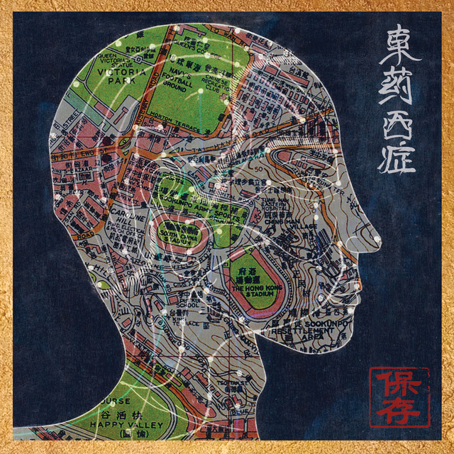 Eastern Medicine, Western Illness album cover