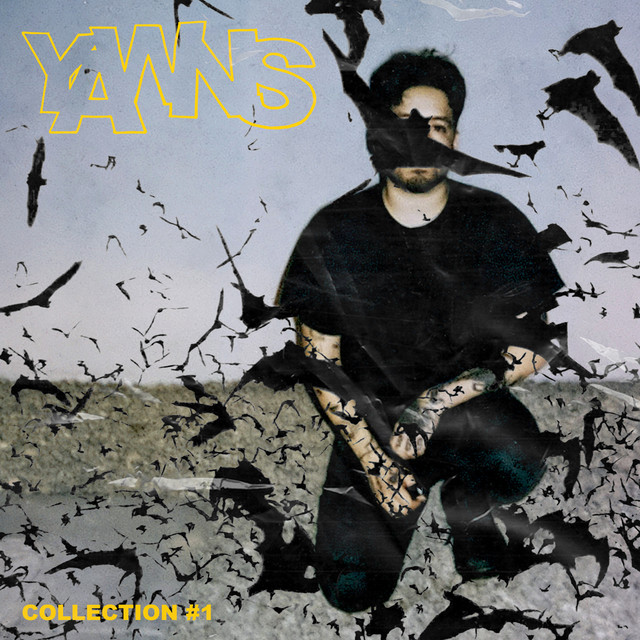 COLLECTION NO. 1 album cover