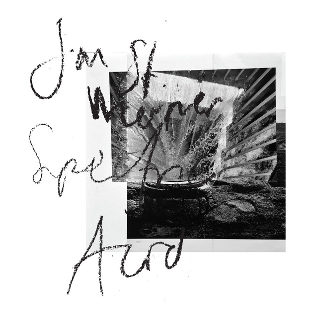 Spectric Acid (Fiepblatter Catalogue #5) album cover