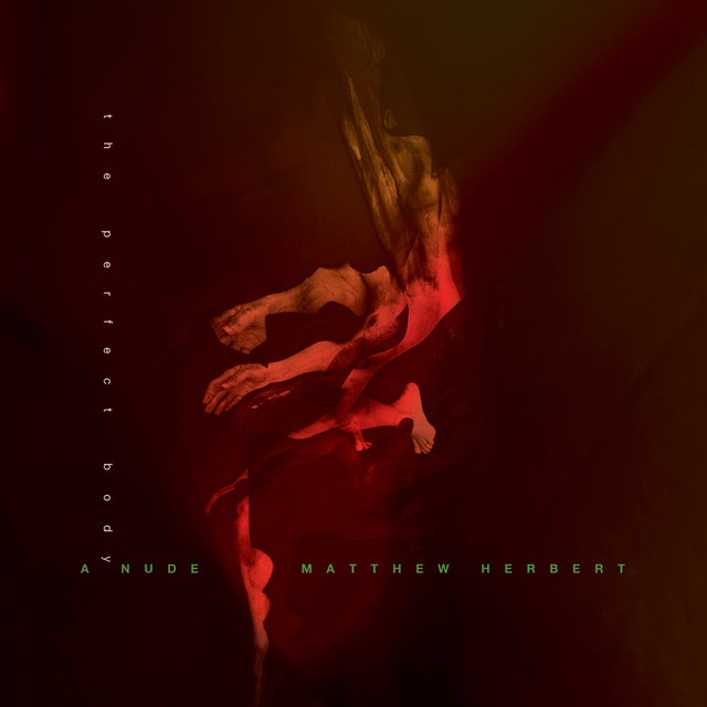 A Nude - The Perfect Body album cover