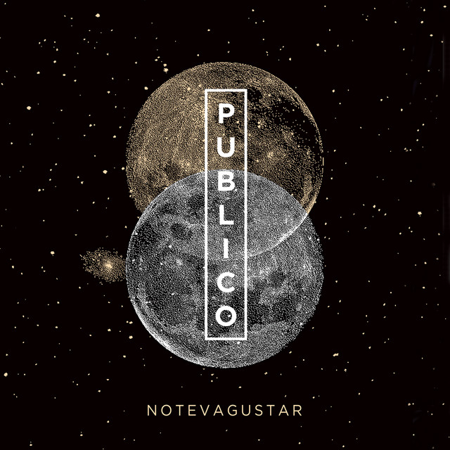 Público (En Vivo) album cover