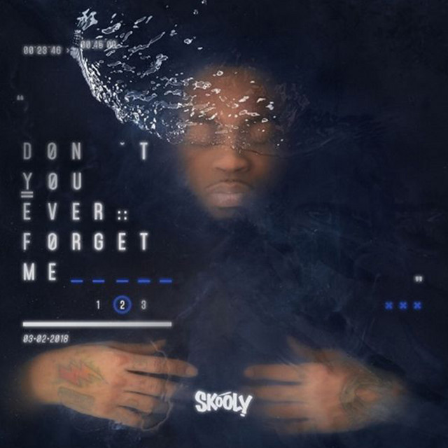 Dont You Ever Forget Me 2 album cover