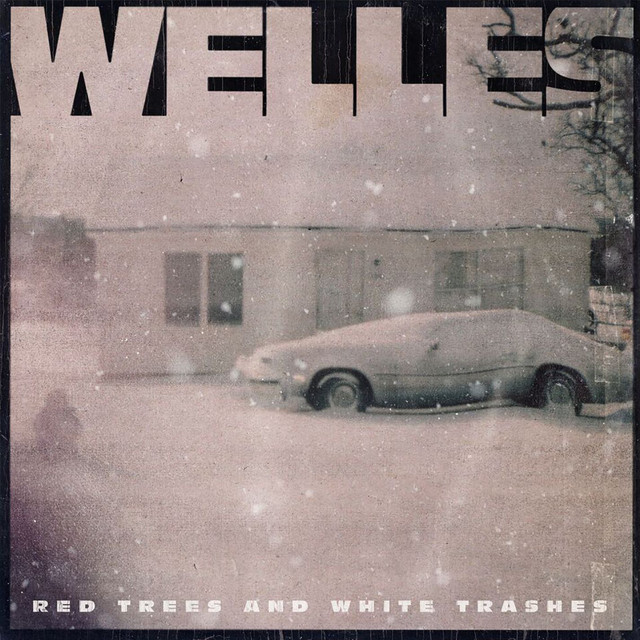 Boss BD-2 Blues Driver as heard on Rock N Roll by Jesse Welles (2018)