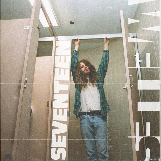 Boss BD-2 Blues Driver as heard on Seventeen by Jesse Welles (2018)