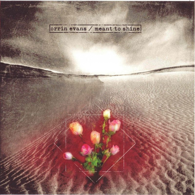 Meant to Shine album cover
