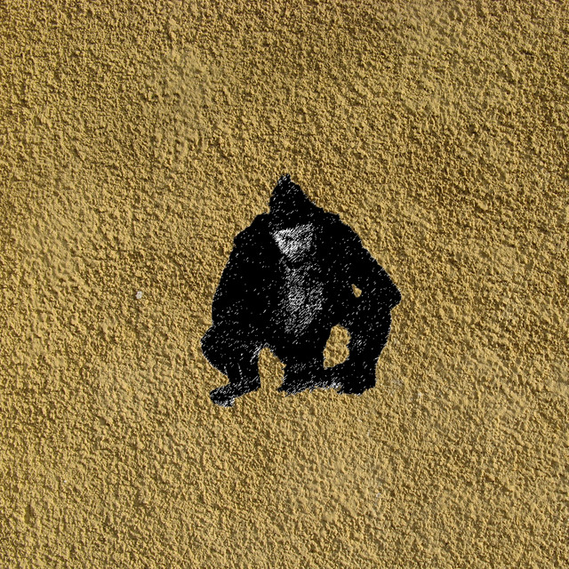 Tape album cover