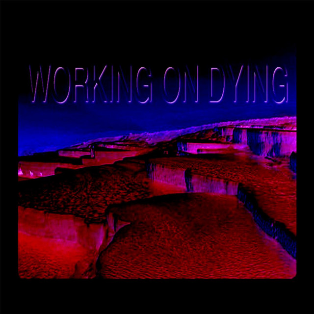 Working on Dying 2 album cover
