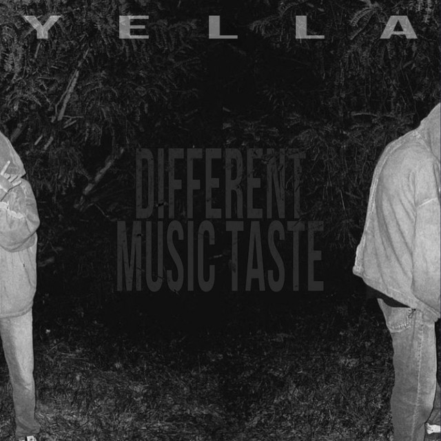 Different Music Taste album cover