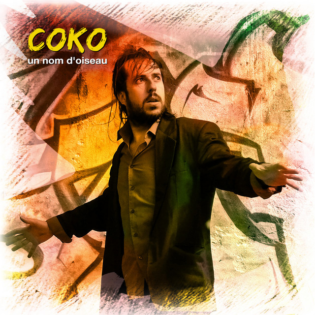 un nom d'oiseau album cover