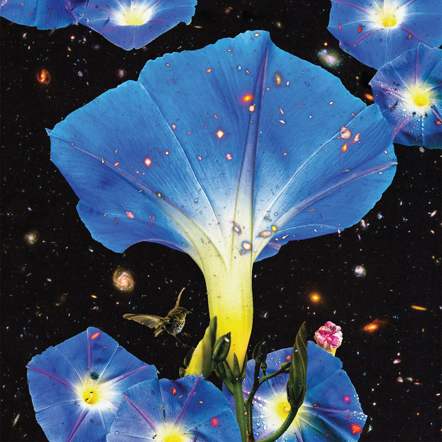 Nighttime Birds and Morning Stars album cover