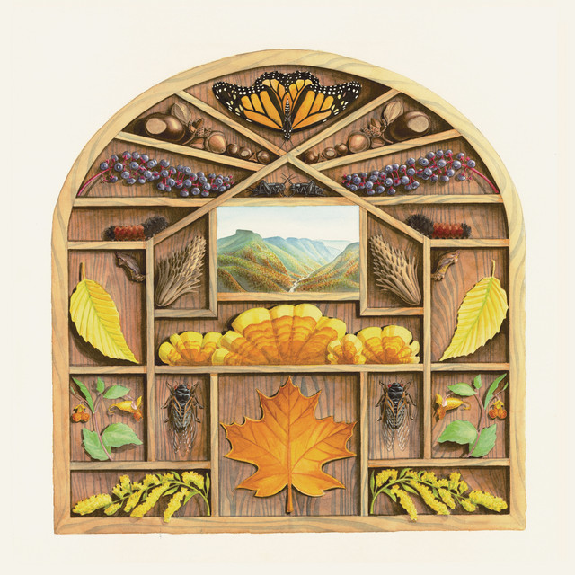 Field Guide album cover