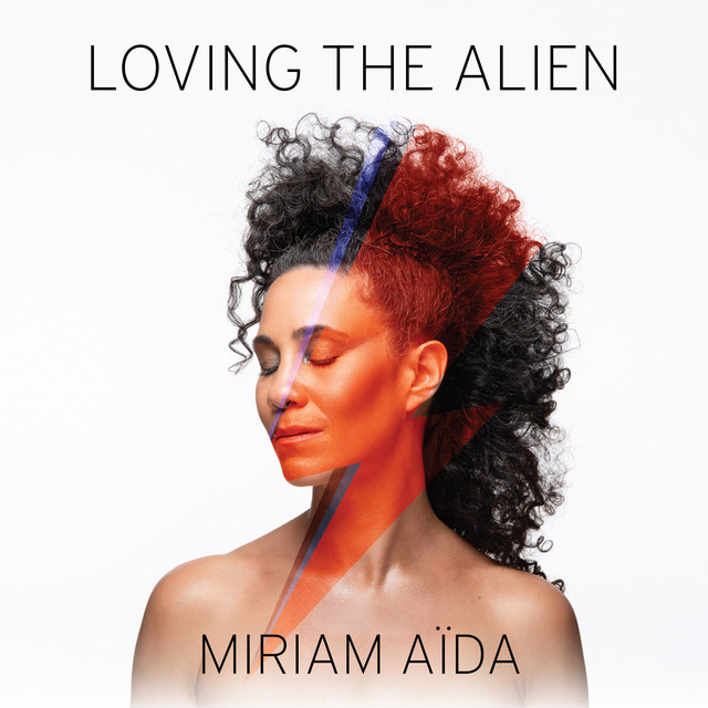 Loving the Alien album cover