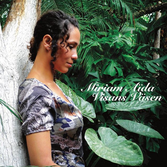 Visans Väsen album cover