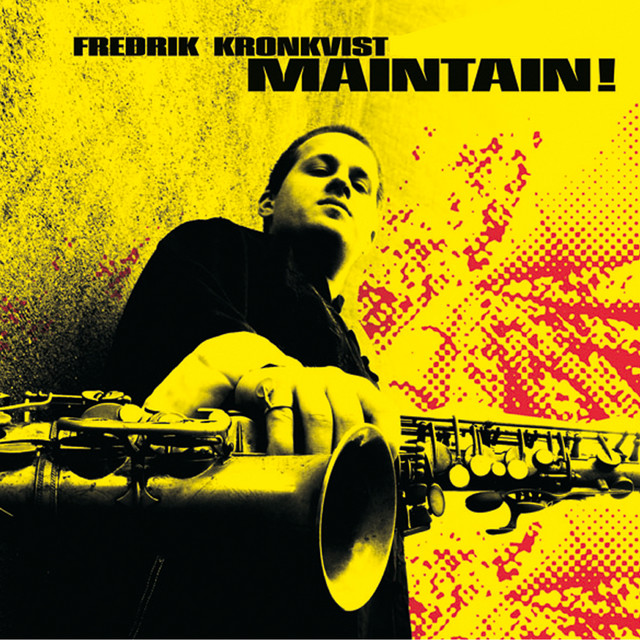 Maintain! album cover