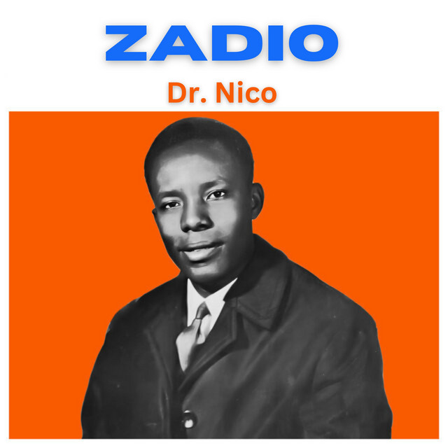 Fender Stringmaster Deluxe 6 as heard on Zadio by Dr. Nico (2024)