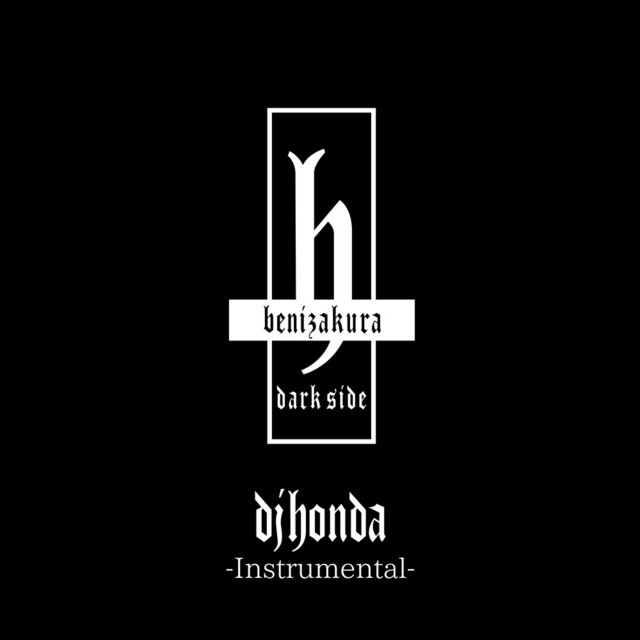 dark side (Instrumental) album cover