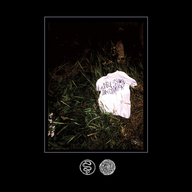 Blame Tuning album cover
