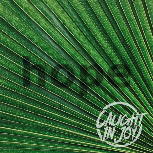 Hope album cover