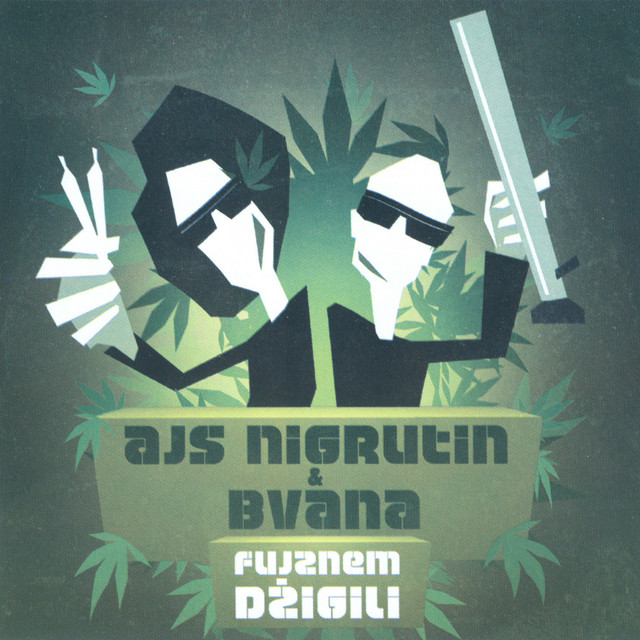 Fujznem džigili album cover