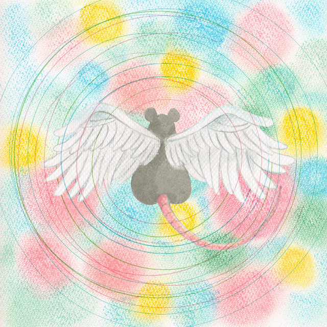 Animaru album cover