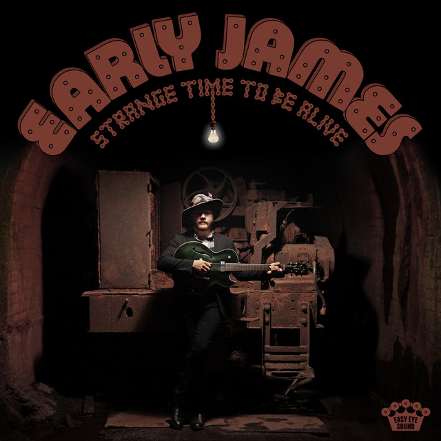 Strange Time To Be Alive album cover