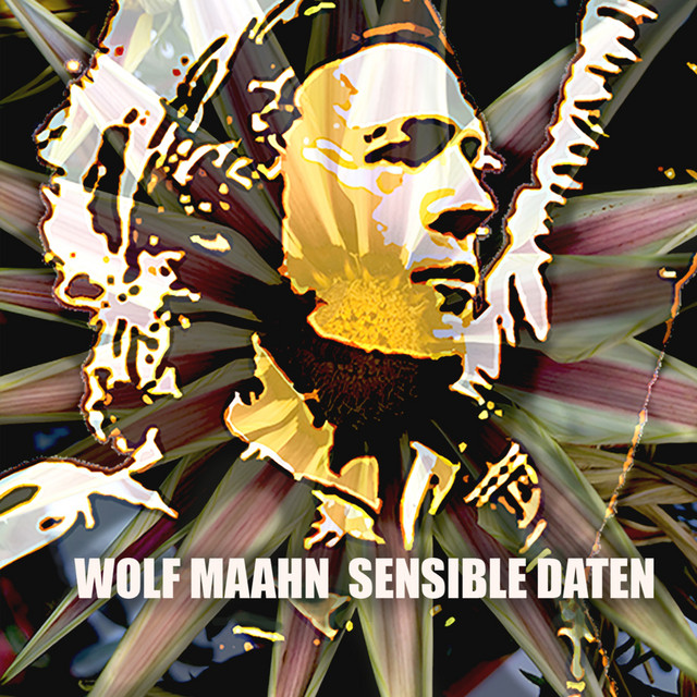 Sensible Daten album cover