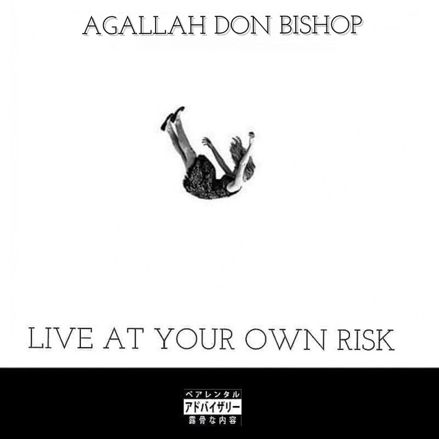 Live At Your Own Risk album cover