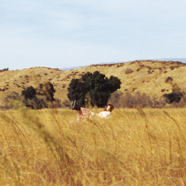 The Cart Before The Horse album cover