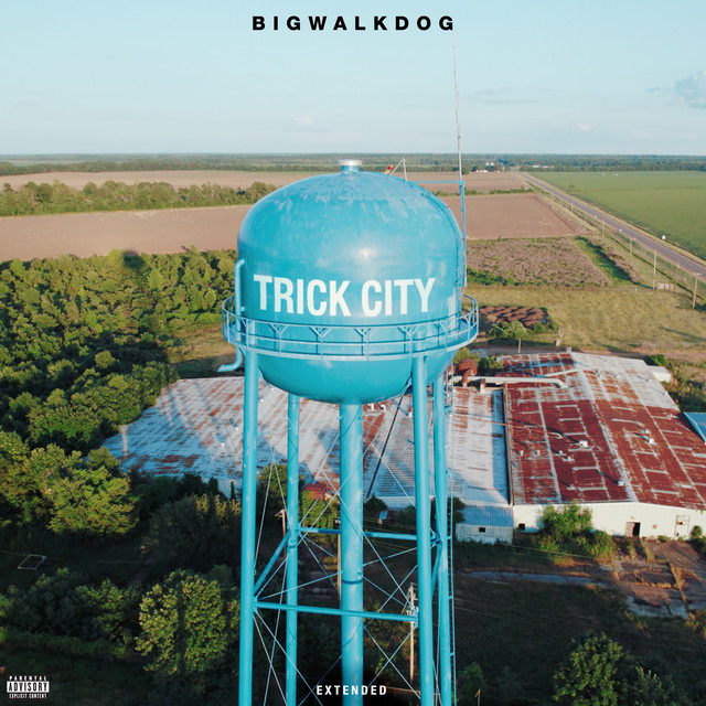Trick City (Extended) album cover