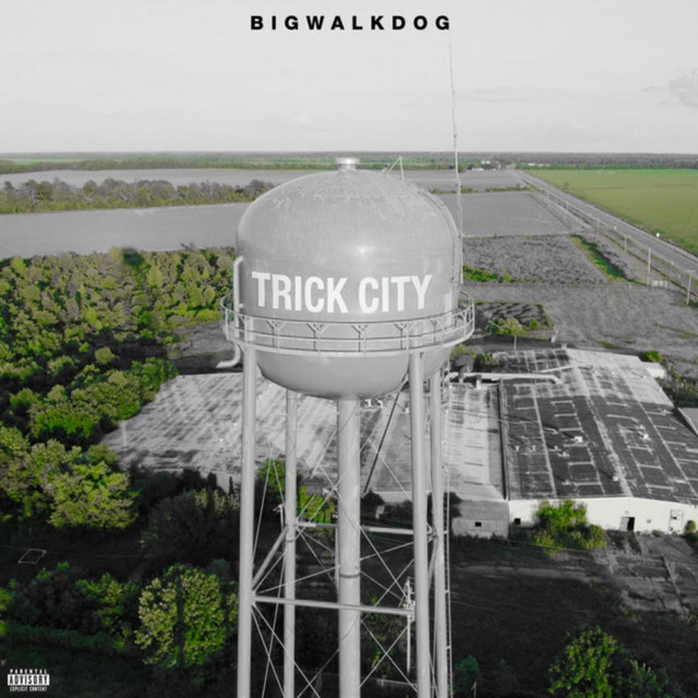 Trick City (Deluxe) album cover