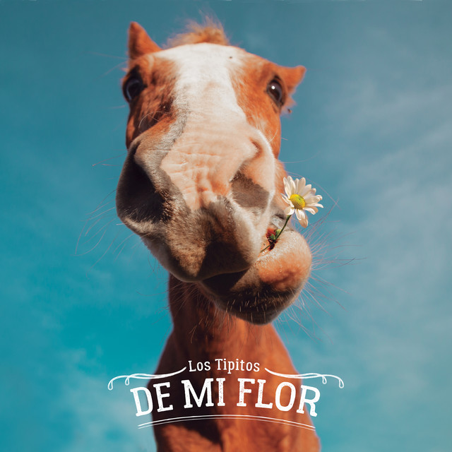 De Mi Flor album cover