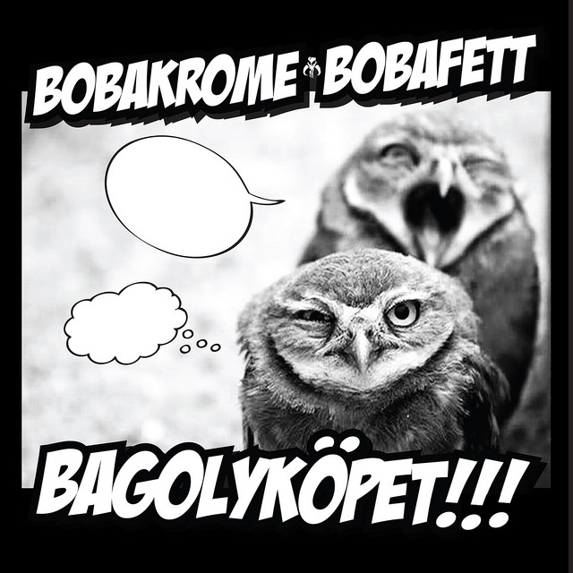 BagolyKöpet album cover