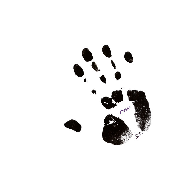 Con 84 album cover