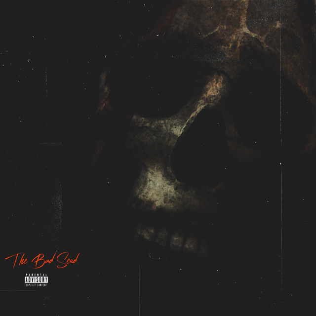 The Bad Seed album cover