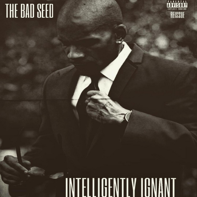 Intelligently Ignant album cover