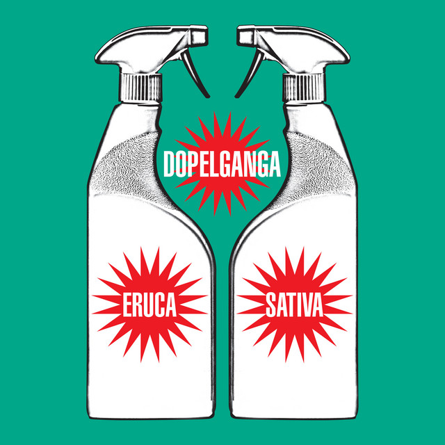 Dopelganga album cover