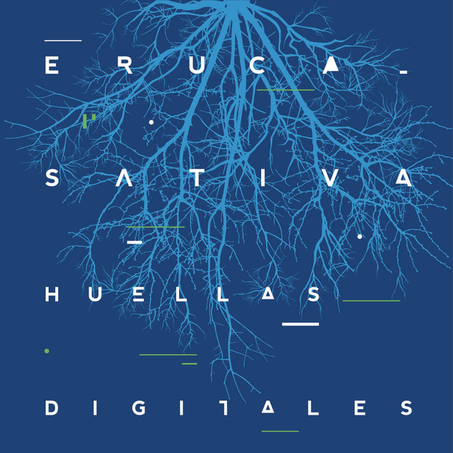 DigiTech WH-5 Whammy V as heard on Huellas Digitales (En Vivo) by Eruca Sativa (2014)