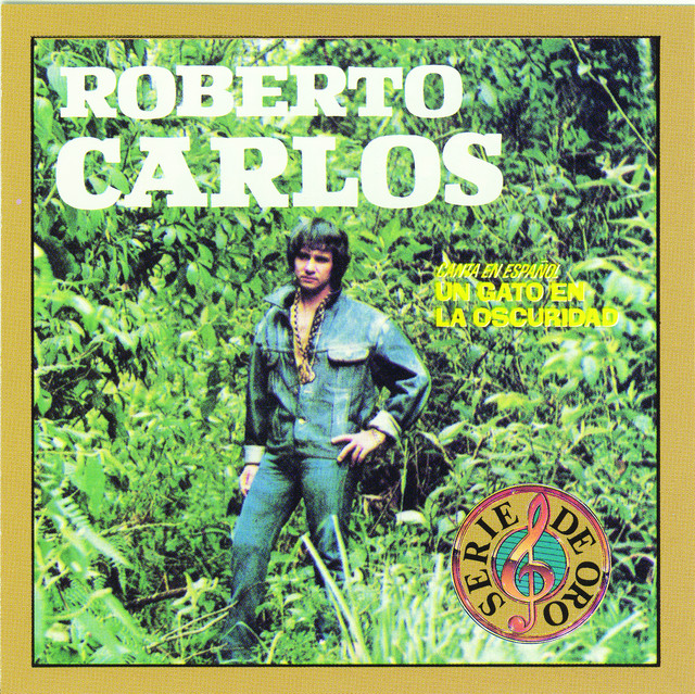 Un Gato En La Oscuridad album cover