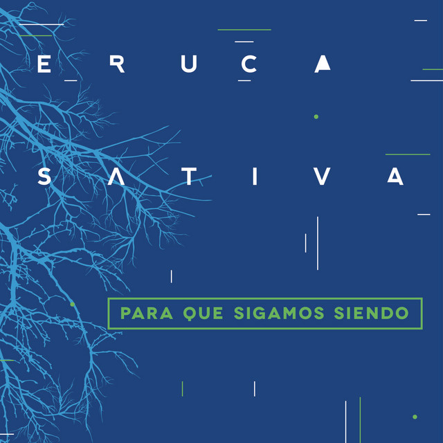 Vintage Electric Britt Road as heard on Para Que Sigamos Siendo (En Vivo) by Eruca Sativa (2014)