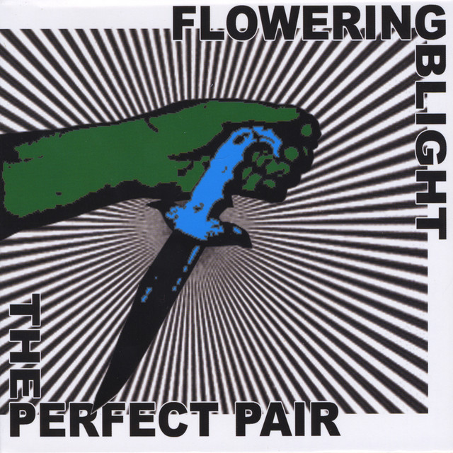 The Perfect Pair album cover
