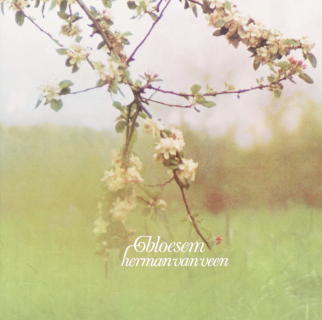 Bloesem album cover