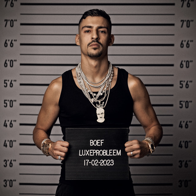 Luxeprobleem album cover