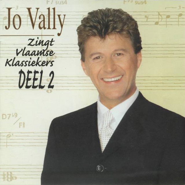 Zingt Vlaamse Klassiekers 2 album cover
