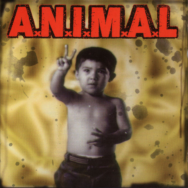 Vox Wah Pedal (General) as heard on Poder Latino by A.N.I.M.A.L. (1998)