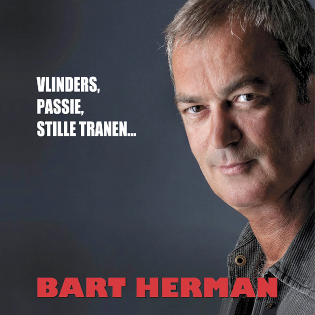 Vlinders, Passie, Stille Tranen... album cover